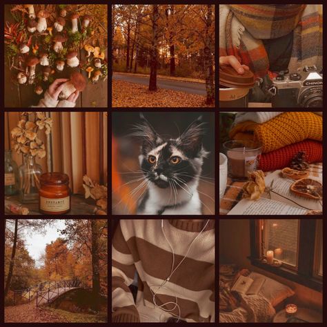 Fall Moodboard Aesthetic, Animal Mood Board, Oc Aesthetic Board, Animal Moodboard, Halloween Mood Board, Autumn Mood Board, Character Moodboard, Fall Moodboard, Adopt Idea