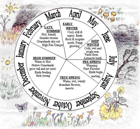 Seasonal Calender Indigenous Studies, Aboriginal Education, Season Calendar, Indigenous Education, Math Blocks, Seasons Activities, Aboriginal Culture, Naidoc Week, Wheel Of Life