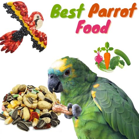 Parrot feeding - Best parrot food | parrot diet and care Parakeet Food, Parrot Diet, Parrot Food, Pet Parrot, Food Diet, Animals And Pets, Parrot, Well Being, Diet