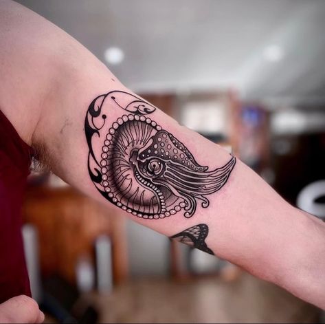 Throwback to this chambered nautilus - One of my favourite designs on one of my favourite people, @tall_tattoos 🦑 ✶ More like this… | Instagram Nautilus Tattoo, Chambered Nautilus, Melbourne Tattoo, Neo Traditional, Nautilus, I Tattoo, Tatting, Tattoos, My Style