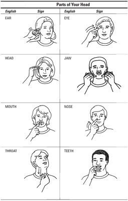 Parts of the Head Medical Sign Language, Sign Language Medical Terms, Sign Language Colors, Learning Asl, Learn Asl, Sign Language Chart, Sign Language For Kids, Medical Sign, Sign Language Lessons