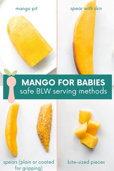 Mango Baby Food, Mango Health Benefits, Blw Recipes, Mango Benefits, Baby Weaning, Dried Mangoes, Baby Eating, Kids Food, Led Weaning