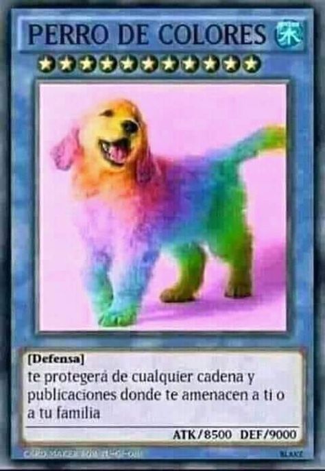 carta de Defensa Yugioh Memes, Black Spiderman, Funny Spanish Memes, Pokemon Memes, Yugioh Cards, Cartoon Memes, Cartoon Jokes, Funny Cards, Memes Xd