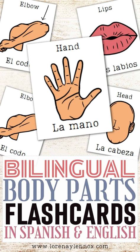 Spanish Flashcards Printable Free, Spanish Flash Cards, Body Parts Flashcards, Body Parts In Spanish, Preschool Spanish Lessons, Spanish Crafts, Spanish Flashcards, Spanish Printables, Spanish Education