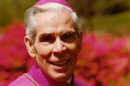 Bishop Sheen, Catholic Devotions, Spiritual Battle, Weeping Woman, Catholic Doctrine, Fulton Sheen, Catholic Beliefs, City Of God, How To Get Followers