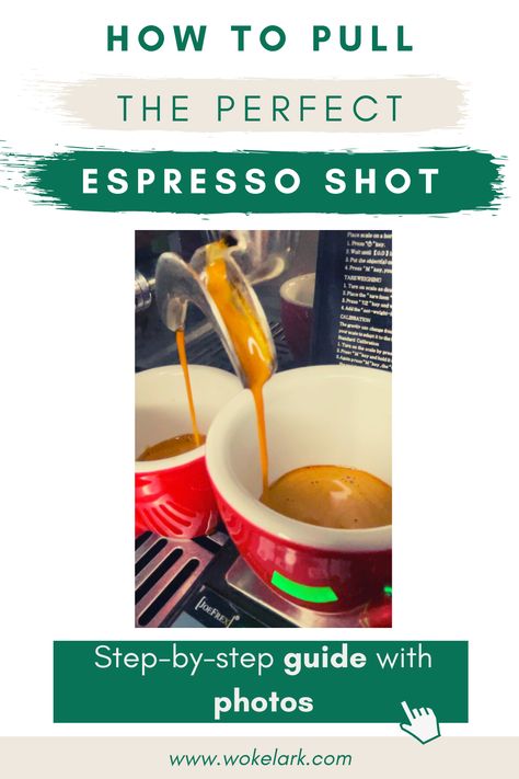 Espresso Dial In Chart, Types Of Coffee Beans, Espresso Recipes, Shot Of Espresso, Espresso At Home, Ninja Coffee, Espresso Beans, Espresso Drinks, Espresso Shot