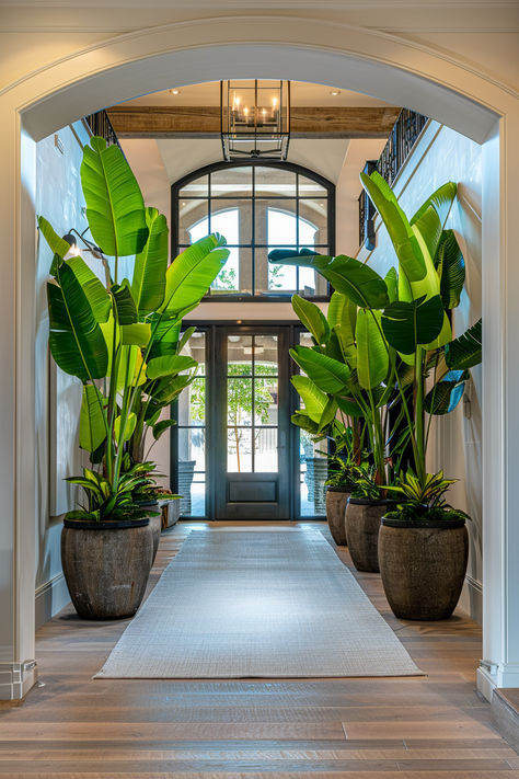 A beautifully decorated entryway filled with lush greenery and colorful plants, creating a welcoming and vibrant atmosphere in the home. House Entrance Plants Entryway, Plant Entryway Ideas, Modern West Indies Decor, Foyer Plants Entrance, Hotel Plants, Colonial Chic, Ethnic Living Room, Family Compound, Air Purifying House Plants