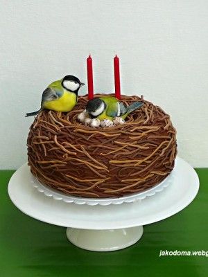 {Love the shape of the cake with two darling birds by Benja} Natural Birthday Cake, Seasonal Cakes, Nature Cake, Twin Birthday Cakes, Bird Birthday Parties, Dad Birthday Cakes, Pinterest Cake, Friends Cake, 2 Birthday Cake