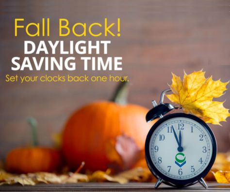 YAY! An extra hour this weekend to practice or study! Hope you are able to enjoy the extra time. Set Clocks Back, Time Change, Clocks Back, Daylight Savings, Daylight Savings Time, Fall Back, Just A Reminder, This Weekend, Clock