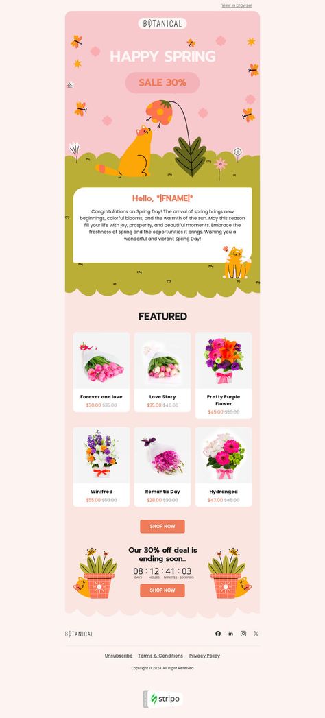 Spring email template "Spring flowers" for gifts & flowers industry. Create eye-catching templates that leave a lasting impact.🌠🌟 Follow us on Pinterest for design and marketing hacks! 📈💌 #spring #stripoemail #emailtips #emailnewsletter #emailtemplate #emaildesign #emailmarketing #emaildesignlayout Marketing Hacks, Email Newsletter Design, Email Template, Newsletter Design, Flowers Spring, Email Design, Email Marketing, Spring Flowers, Marketing