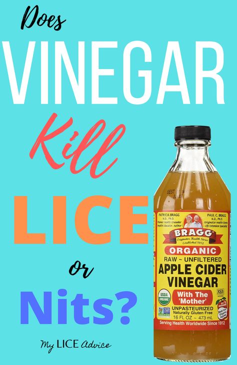 How To Get Rid Of Lice Naturally, How To Get Rid Of Lice, How To Get Rid Of Nits In Hair, Lice Remedies How To Get Rid Of, Home Lice Remedies, How To Get Rid Of Lice Eggs, Natural Lice Remedies, How To Remove Lice Eggs From Hair, Getting Rid Of Nits