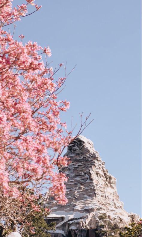 Disneyland Fantasyland Aesthetic, Disney Pastel Aesthetic, Fantasyland Aesthetic, Pastel Spring Aesthetic, Matterhorn Disneyland, Disneyland Spring, Disneyland Summer, Disneyland Aesthetic, Disney World Outfits