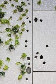 Vertical Landscaping, Green Facade, Plants Growing, Deco Nature, Extension Designs, Vertical Gardens, Green Architecture, Perforated Metal, Materials And Textures