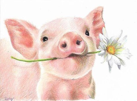 Farm Animal Paintings, Farm Animal Painting, Pig Painting, Pig Drawing, Baby Pig, Pig Illustration, Pig Art, Flowers Background