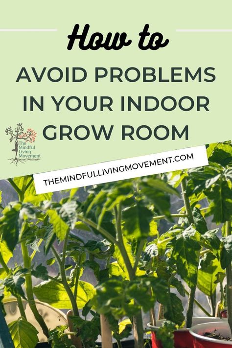 This applies to any enclosed growing space such as a whole room, a greenhouse or those little grow tents you can get. With the popularity of indoor growing… growing, I thought it was important to share the key things to manage in your enclosed growing space to prevent failure. Grow Tent Vegetables, Basement Grow Room, Grow Shelves, Indoor Plant Corner, Heat Greenhouse, Grow Food Indoors, Grow Vegetables Indoors, Greenhouse In Winter, Indoor Grow Room