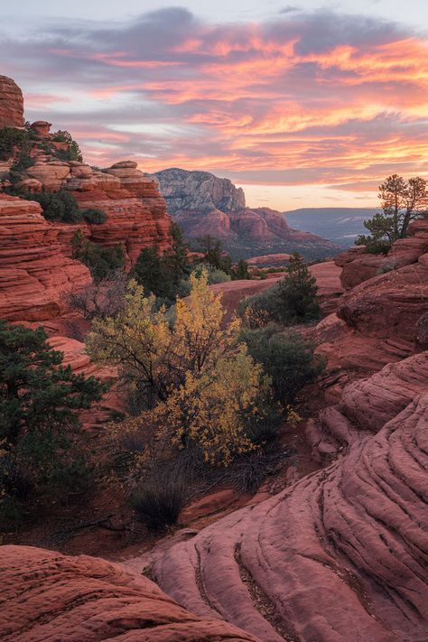 Scenic view of Sedona red rocks during sunset Phoenix To Sedona, Double Dates, Arizona Hiking, Hiking Spots, Sedona Arizona, Rock Formations, Red Rock, Travel Inspo, Sedona