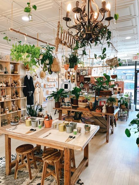 Small Retail Store Design, Terrarium Bar, Boutique Store Displays, Modern Terrarium, Flower Shop Interiors, Herbal Store, Flower Shop Design, Store Design Boutique, Store Interiors