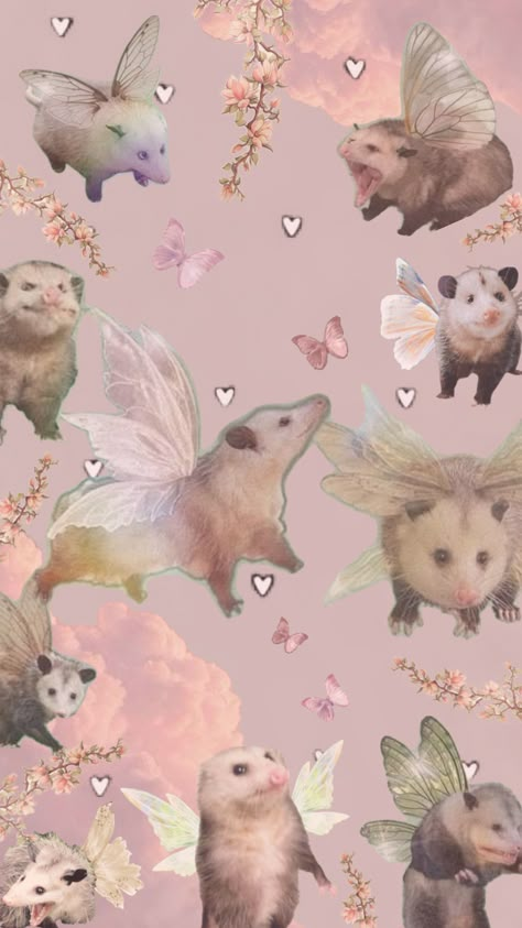 Opossum core aesthetic #opossum #aesthetic #vibes #wallpaper #nature #fairycore Opossum Aesthetic, Awesome Possum, Cute Images For Wallpaper, Cocoppa Wallpaper, Vibes Wallpaper, Phone Wallpaper Patterns, Wallpaper Nature, Cool Wallpapers Art, Fairytale Art