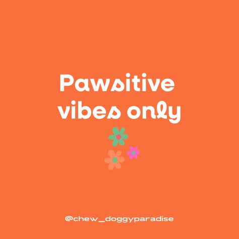 Pawsitive Vibes Only 🧡 Pet Therapy Quotes, Dog Therapy Quotes, Pawsitive Vibes Only, Paw Quotes Dog, Paw Paw Meme, Pawsitive Vibes, Dog Quotes, Pet, Quotes