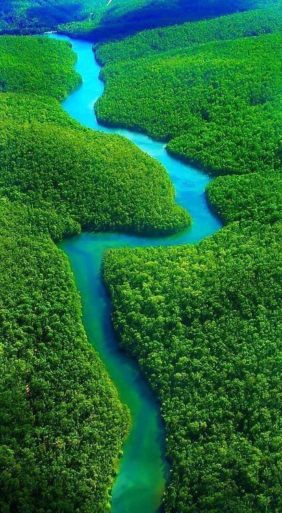 Amazon Rainforest Aesthetic, Go Green Quotes, Go Green Posters, Rainforest Aesthetic, Brazil Amazon, Free Android Wallpaper, Amazon Forest, Amazon River, Gorgeous Scenery