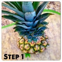 Pinapple Tree, Planting Pineapple Top, Planting Pineapple, Growing Pineapple From Top, Growing A Pineapple, Pineapple Plant Care, Grow Pineapple Plant, Grow Pineapple, Grow A Pineapple