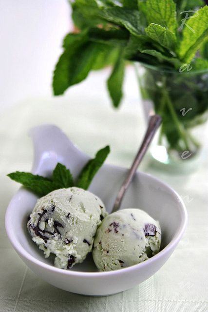 Mint chocolate chip gelato Mint Chocolate Chip Ice Cream Recipe, Chocolate Chip Ice Cream Recipe, Mint Chocolate Ice Cream, Cuisinart Ice Cream, Cuisinart Ice Cream Maker, Gelato Recipe, Mint Chocolate Chip Ice Cream, Mint Ice Cream, Mint Chocolate Chip