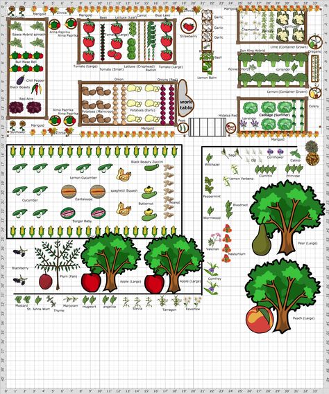 Garden+Plan+-+Tinker's+playground Garden Planning Layout, Backyard Garden Layout, Farm Plans, Garden Plan, Garden Planner, Veg Garden, Backyard Farming, Hydroponic Gardening, Fruit Garden