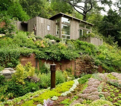 Mill Valley Cabins in San Francisco by Feldman Architecture Retaining Wall Design, Living Roofs, Guest Cabin, Contemporary Exterior, Mill Valley, Green Architecture, Rooftop Garden, East Village, A Hill