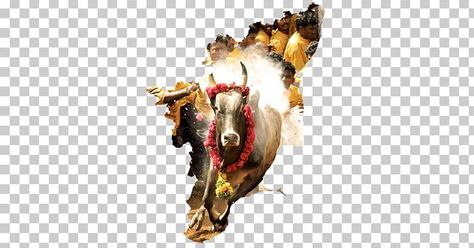 Jallikattu Png, Tamil Calendar, Horse Horse, Clipart Free, Floral Border Design, Free Sign, Tamil Nadu, Color Help, Floral Border