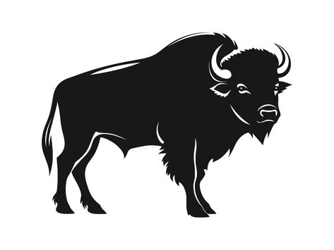 Buffalo Silhouette, Animal Stencil, American Bison, Art Cut, Silhouette Clip Art, Animal Silhouette, Paper Wallpaper, Silhouette Cricut, Clothing Apparel