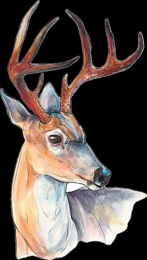 Pen Portrait, Animal Paintings Acrylic, Deer Artwork, Deer Drawing, Sweet Drawings, Deer Photos, Deer Illustration, Deer Painting, Deer Art