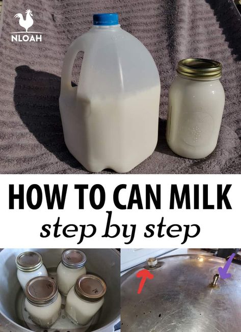 Step by step how to can milk in a pressure canner, safety precautions and tips. #milk #canning Canning Milk, Canned Milk, Canning Meat, Survival House, Goat Milk Recipes, Pressure Canning Recipes, Canning 101, Food Preserving, Home Canning Recipes