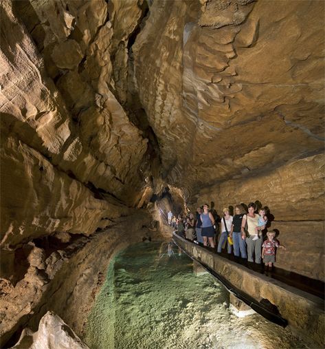 Kentucky Caves, Floyd Collins, Visit Kentucky, Cave City Kentucky, Mammoth Cave Kentucky, Kentucky Camping, Kentucky Tourism, Mammoth Cave National Park, Cave City