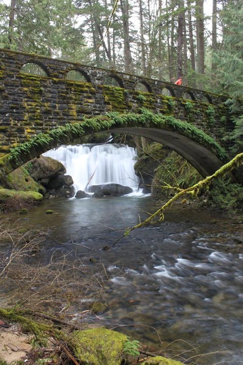 Whatcom Falls Washington Travel, Bellingham Washington, Evergreen State, Bellingham Wa, Stone Bridge, Washington State, The East, Vacation Spots, Travel Usa