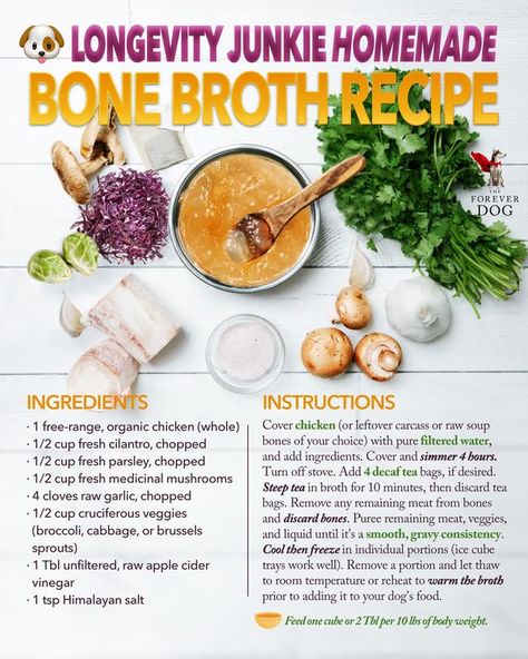 Dog Bone Broth, Bone Broth For Dogs, Broth For Dogs, Homemade Bone Broth, Holistic Pet Care, Bone Broth Recipe, Raw Garlic, Raw Dog Food Recipes, Broth Recipes