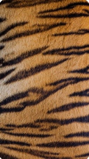 Tiger Print Aesthetic, Tiger Print Pattern, Tiger Print Wallpaper, Animal Print Aesthetic, Safari Resort, Animal Texture, Hulk Art, Tiger Skin, Animal Print Wallpaper