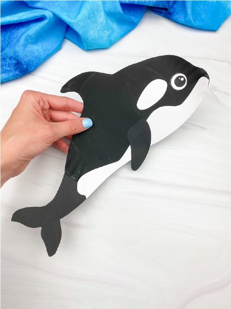 Make this cute paper plate orca craft with the kids this summer! Download the free printable template and make it at home, school, or daycare! Diy Orca Crafts, Monkey Headband, Whale Craft, Beach 2024, Ocean Animal Crafts, Crab Crafts, Whale Crafts, Theme Preschool, Animal Craft