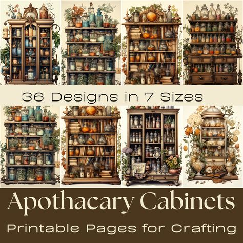 Wall Apothecary Cabinet, Apothecary Wall Cabinet, Apothecary Bookshelf, Diy Apothecary Cabinet, Apothecary Cabinet Diy, Apothecary Aesthetic, Apothecary Store, Herbal Medicine Cabinet, Apothecary Art