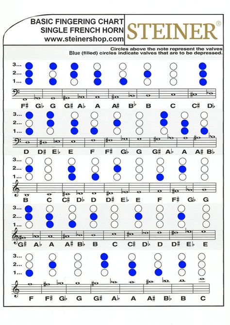 Single french horn fingering chart French Horn Music, Major Scale, French Horn, Band Stuff, Horn, To Play, Best Quotes, Band, Quotes