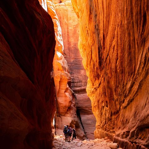 Vermillion Cliffs Arizona, Vermilion Cliffs National Monument, Vermillion Cliffs National Monument, Vermilion Cliffs, Paria Canyon, Vermillion Cliffs, Marble Canyon, Utah Trip, Arizona Trip