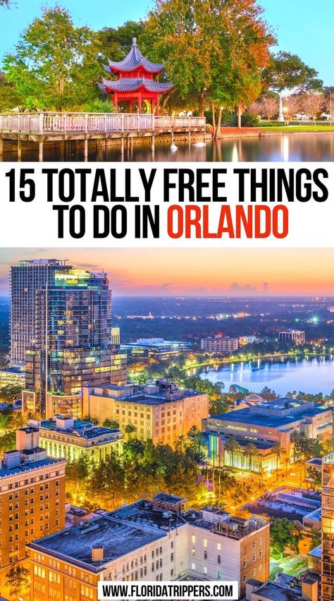 15 Totally Free Things To Do In Orlando Things To Do Orlando, Orlando Florida Vacation, Things To Do In Orlando, Florida Attractions, Travel Florida, Florida Travel Guide, Lake Eola, Visit Orlando, Seaworld Orlando