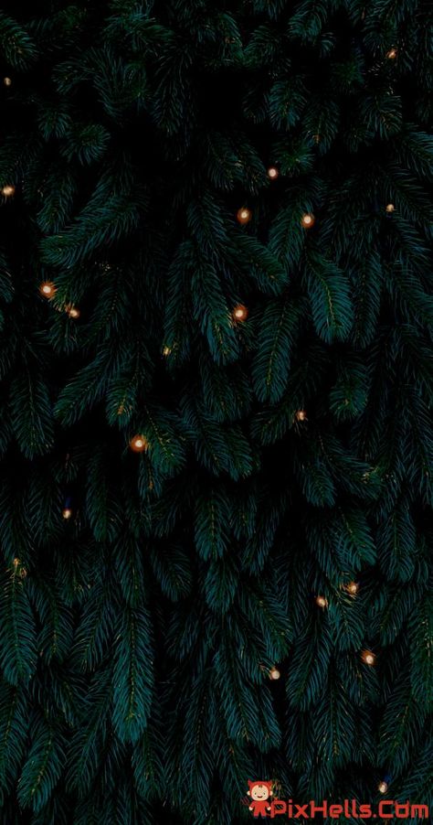 Christmas Tree Background Winter Phone Wallpaper Iphone Backgrounds, Winter Phone Wallpapers, Background Winter, Christmas Tree Wallpaper, Tree Background, Christmas Tree Background, Cute Fall Wallpaper, New Year Wallpaper, Christmas Phone Wallpaper