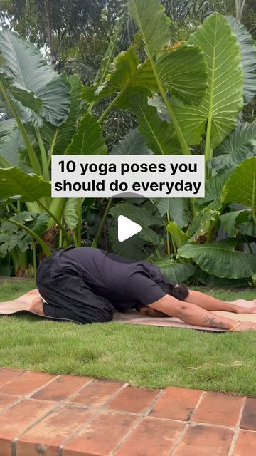 Yaduveer | Yogi on Instagram: "Incorporating yoga into your daily routine can be a game-changer for both body and mind😌 Start your day with these poses, and notice how you feel more centered, flexible, and ready to take on whatever comes your way! . . #yoga #yogateacher #yogapractice #yogainspiration #asana" Yoga Fitness Workout, Mindfulness Room, Yoga Fits, Mere Mehboob, Easy Yoga For Beginners, Daily Yoga Routine, Javed Akhtar, Essential Yoga Poses, Yoga Basics