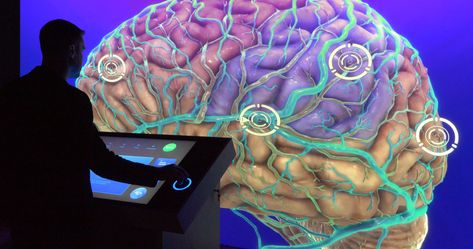 Man interacts iwth touch exhibit showing large 3D image of brain. Interactive Exhibit, Interactive Kiosk, Interactive Table, Museum Exhibition Design, Interactive Exhibition, Interactive Science, Touch Table, Exhibit Design, Brain Science