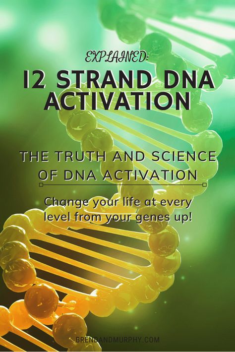 12 Strand Dna, Dna Activation, Quantum Healing Hypnosis, Raise Vibration, Wealth Dna Code, Dna Code, Healing Codes, Dna Repair, Energy Healing Reiki