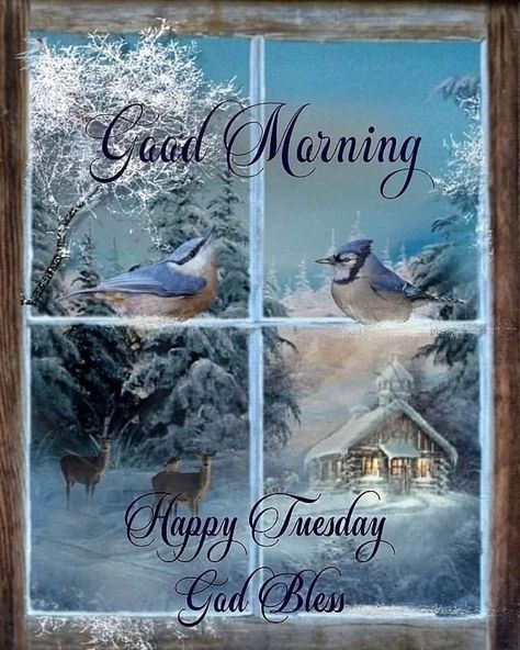 February Blessings, Goodnight Pictures, Tuesday Quotes Good Morning, Tuesday Greetings, Good Morning Winter, Tuesday Blessings, Morning Winter, Writing Posters, Good Morning Tuesday