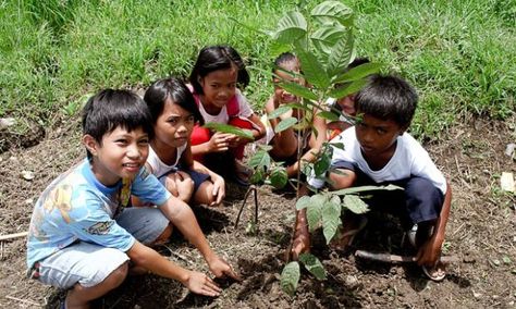 Image:Few young hero in Philippine planting small trees which helps the environment. Trees gives human fresh air and helps to make the world looks clean and green. Clean Classroom, Stock Photos People, Soil Erosion, Environmental Problem, Environmental Change, World Vision, Community Park, Street Kids, Environmental Awareness