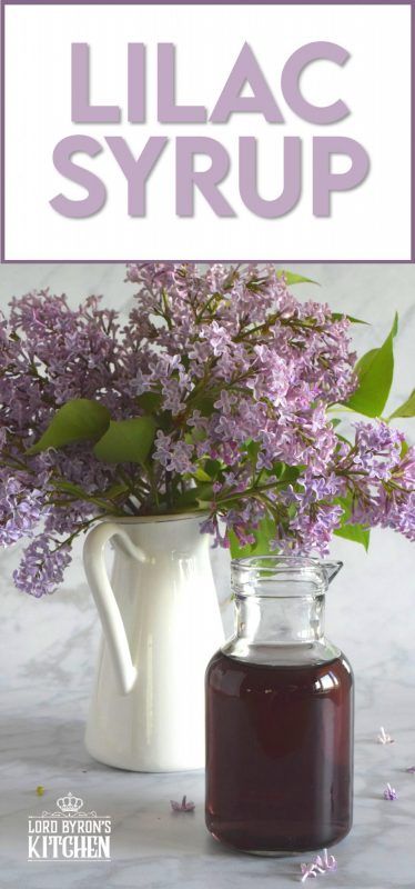 Lilac Syrup, Homemade Vanilla Extract, Lilac Tree, Amazing Crafts, Nutritious Recipes, Delicious Drink Recipes, Canadian Food, Pinterest Group, Recipe Board