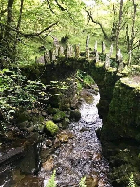 Medieval Fairy, Fairy Bridge, Old Bridges, High Road, Stone Bridge, Forest Path, Magical Places, Natural Environment, Beautiful Nature