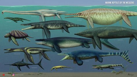 Mario Lanzas on Instagram: “Prehistoric marine reptiles #triassic #cretaceous #plesiosaur #mosasaurus #paleoart #jurassic” Prehistoric Ocean, Sea Dinosaurs, World Map Outline, Jurassic Park Trilogy, Marine Reptiles, Dino Park, Prehistoric World, Paleo Art, Extinct Animals